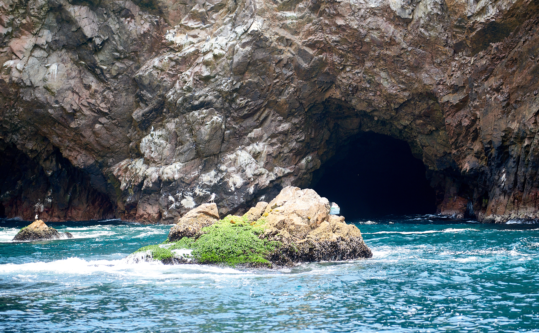 20200304 138 [페루] 바예스타섬